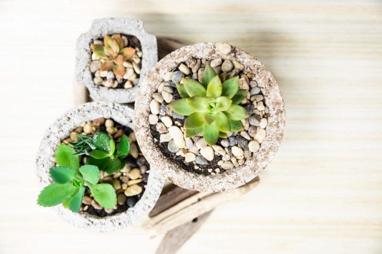 Florystyka dopełnieniem ceremonii ślubnej